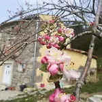 Skalameri Kozljak