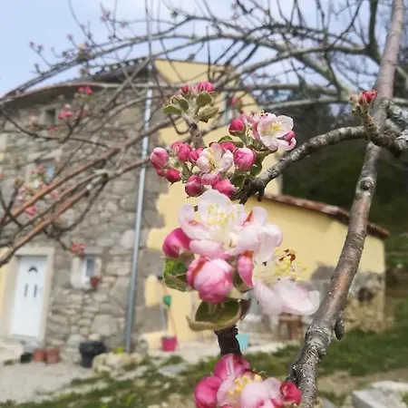 Skalameri Kozljak